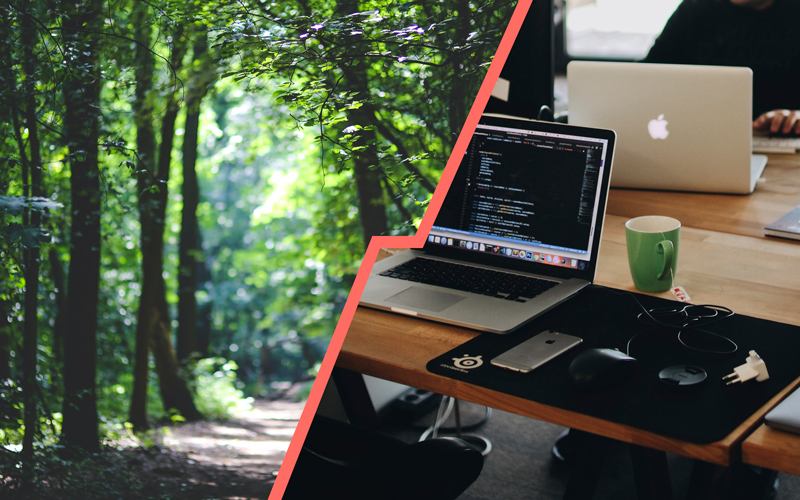 Fotomontage: Eine diagonale Linie trennt Waldweg von Tisch mit Laptop. Smartphone, Kabeln und Ladegeräten.