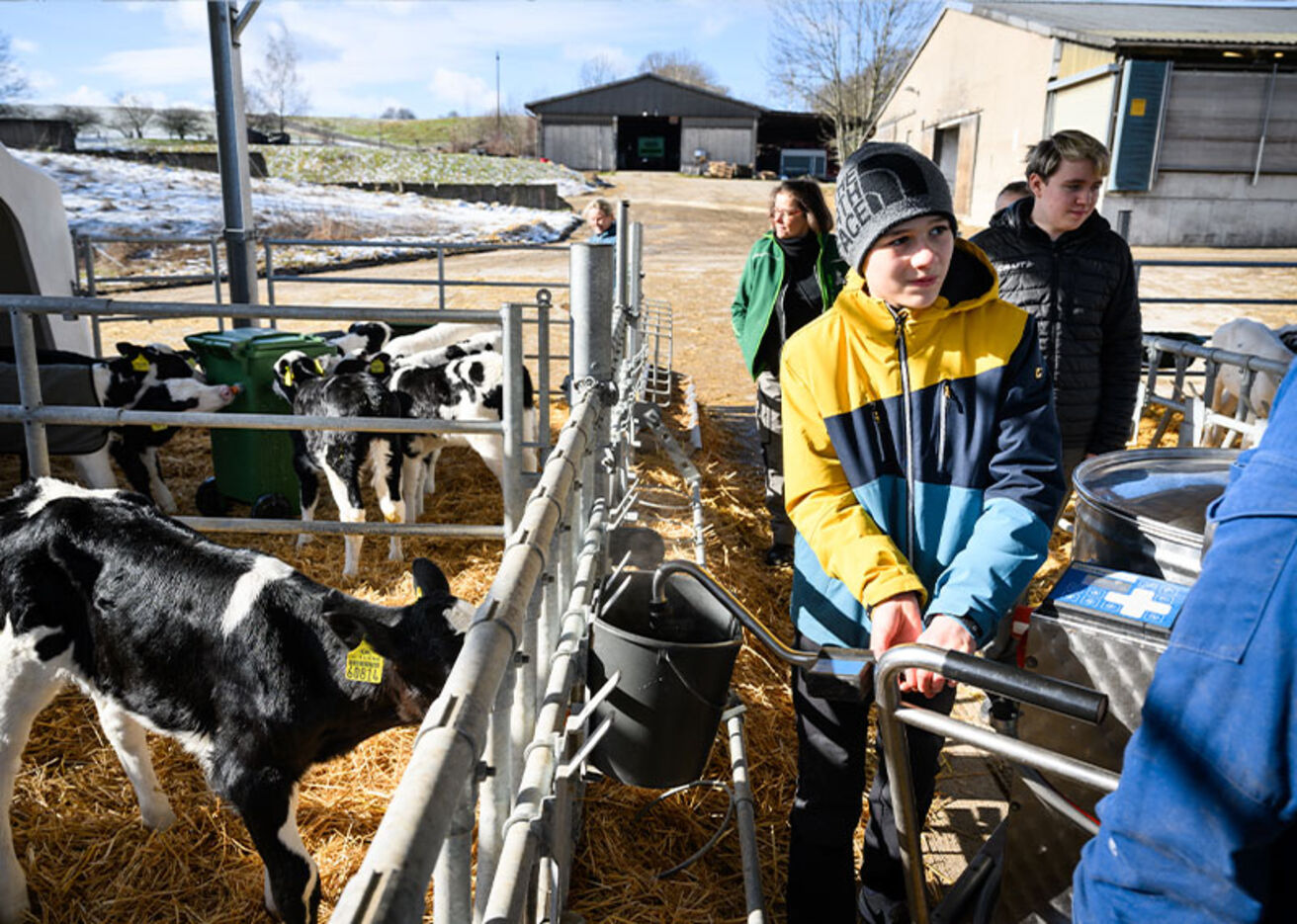 Foto: Eine Junge steht mit landwirtschaftlichen Geräten neben Kälbern in einem Bauernhofgehege. Weitere Personen sind im Hintergrund.
